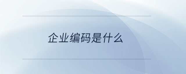 企業(yè)編碼是什么