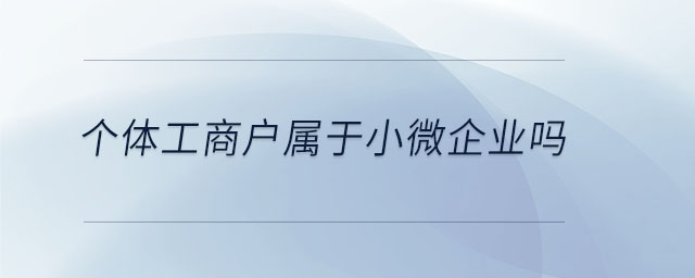 個(gè)體工商戶(hù)屬于小微企業(yè)嗎
