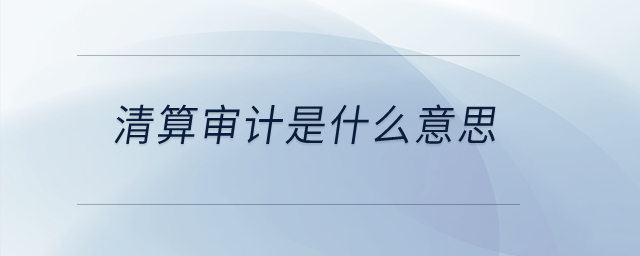 清算審計是什么意思,？