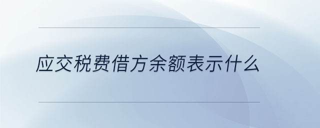 應交稅費借方余額表示什么