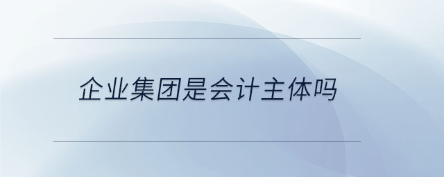 企業(yè)集團(tuán)是會(huì)計(jì)主體嗎