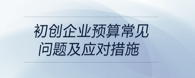 初創(chuàng)企業(yè)預(yù)算常見問題及應(yīng)對(duì)措施