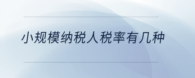 小規(guī)模納稅人稅率有幾種,？