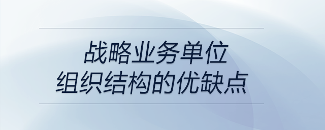 戰(zhàn)略業(yè)務(wù)單位組織結(jié)構(gòu)的優(yōu)缺點