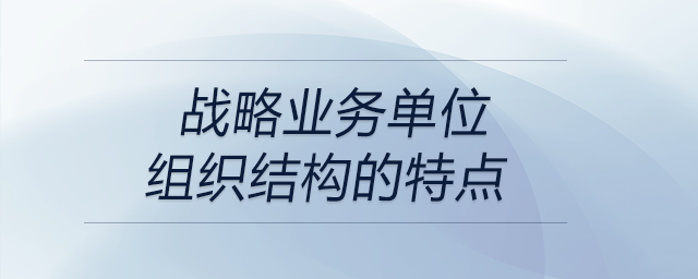 戰(zhàn)略業(yè)務(wù)單位組織結(jié)構(gòu)的特點(diǎn)