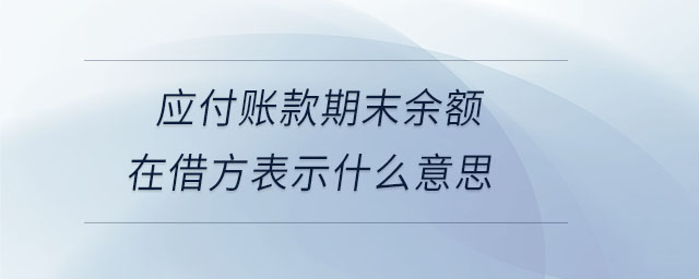 應付賬款期末余額在借方表示什么意思