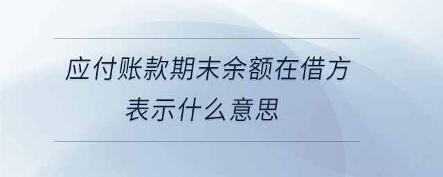 應付賬款期末余額在借方表示什么意思