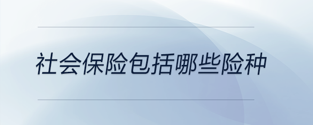 社會保險包括哪些險種