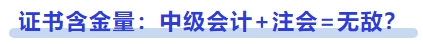 證書含金量：中級會計+注會=無敵,？