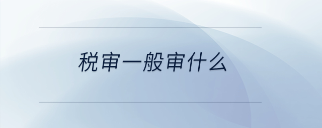 稅審一般審什么,？