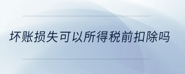 壞賬損失可以所得稅前扣除嗎,？