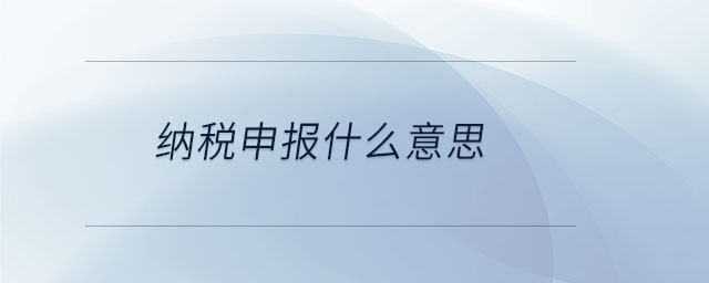 納稅申報什么意思