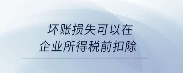 壞賬損失可以在企業(yè)所得稅前扣除,？