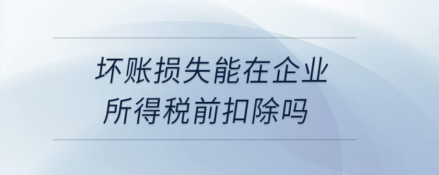 壞賬損失能在企業(yè)所得稅前扣除嗎？