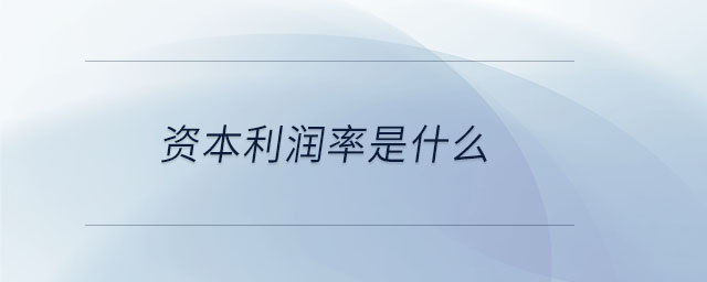 資本利潤率是什么