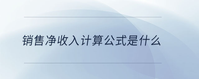 銷售凈收入計(jì)算公式是什么