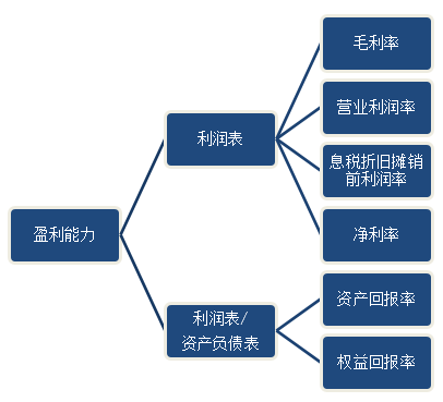 盈利能力分析