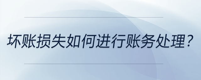 壞賬損失如何進(jìn)行賬務(wù)處理,？