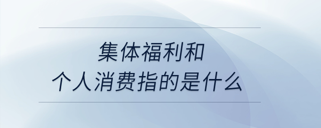 集體福利和個人消費指的是什么,？