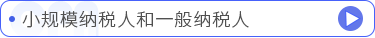 小規(guī)模納稅人和一般納稅人