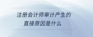 注冊會計師審計產(chǎn)生的直接原因是什么