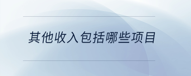 其他收入包括哪些項目,？