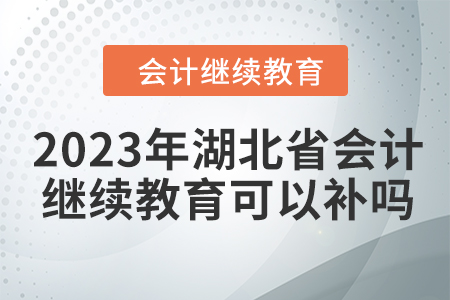 2023年湖北省會計繼續(xù)教育可以補嗎,？