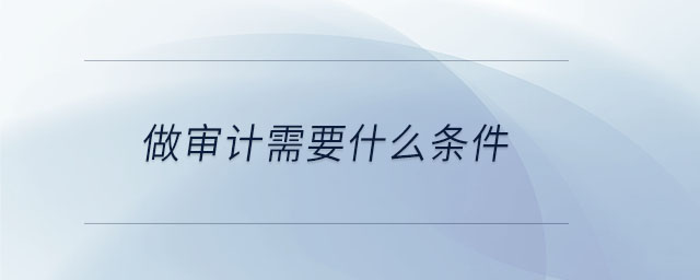 做審計需要什么條件