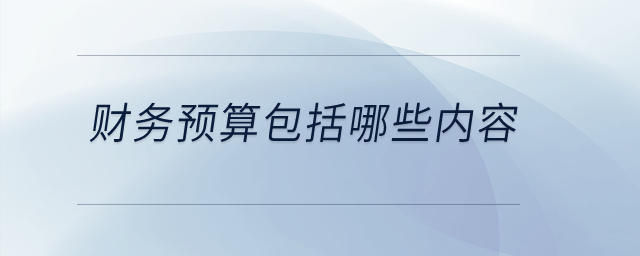 財務(wù)預(yù)算包括哪些內(nèi)容,？