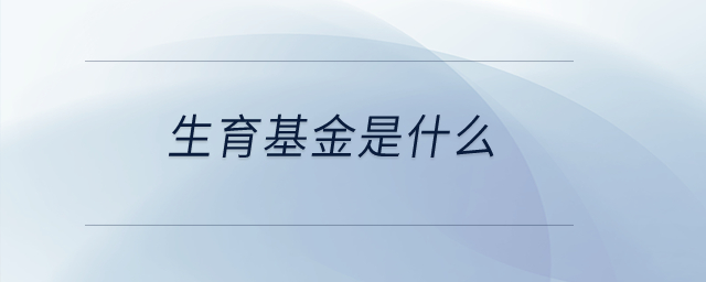 生育基金是什么,？