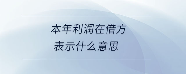 本年利潤在借方表示什么意思