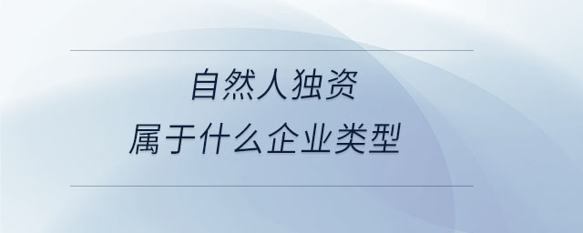 自然人獨(dú)資屬于什么企業(yè)類型