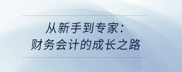 從新手到專家：財(cái)務(wù)會(huì)計(jì)的成長(zhǎng)之路