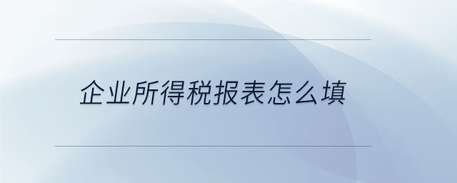 企業(yè)所得稅報(bào)表怎么填