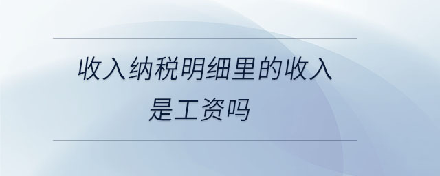 收入納稅明細(xì)里的收入是工資嗎