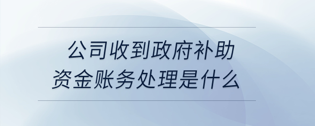 公司收到政府補(bǔ)助資金賬務(wù)處理是什么,？