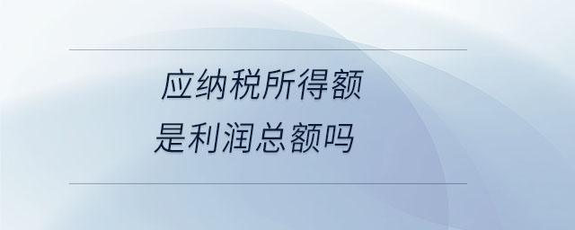 應納稅所得額是利潤總額嗎