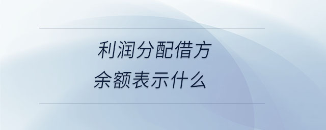 利潤分配借方余額表示什么