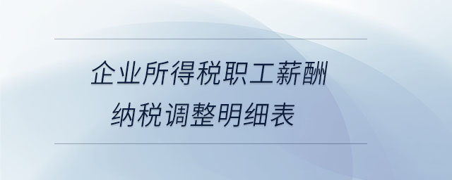 企業(yè)所得稅職工薪酬納稅調(diào)整明細表