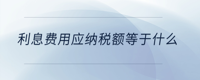 利息費用應納稅額等于什么,？