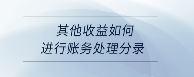 其他收益如何進(jìn)行賬務(wù)處理分錄,？