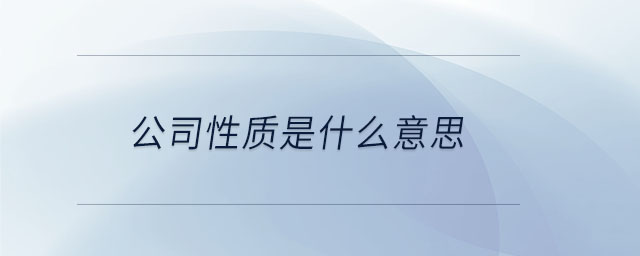 公司性質(zhì)是什么意思