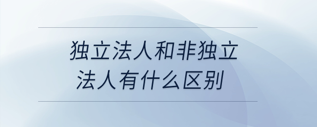 獨立法人和非獨立法人有什么區(qū)別？