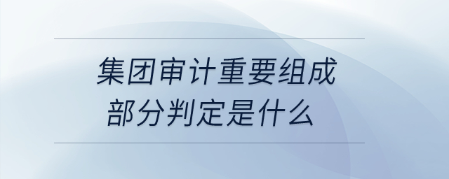 集團審計重要組成部分判定是什么,？