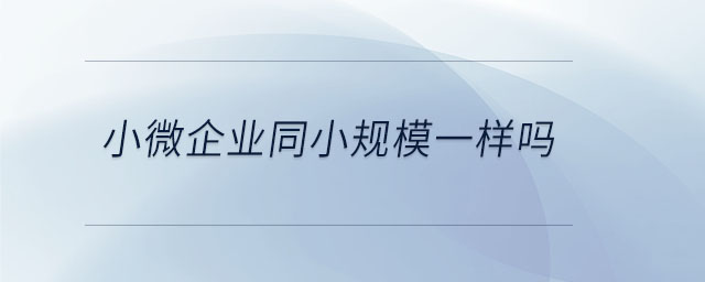 小微企業(yè)同小規(guī)模一樣嗎