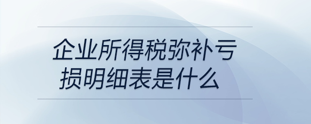 企業(yè)所得稅彌補虧損明細表是什么