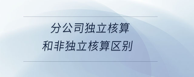 分公司獨立核算和非獨立核算區(qū)別