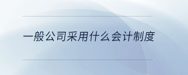 一般公司采用什么會計制度