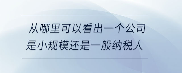 從哪里可以看出一個公司是小規(guī)模還是一般納稅人