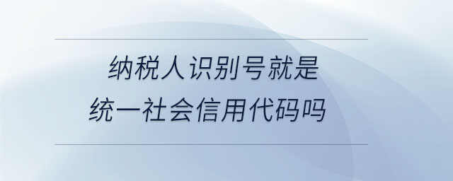 納稅人識(shí)別號(hào)就是統(tǒng)一社會(huì)信用代碼嗎